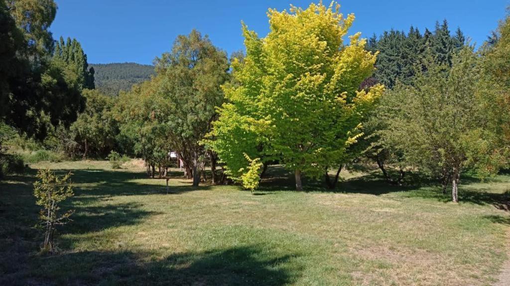 Rupu Pehuen Aparthotel San Carlos de Bariloche Exterior photo